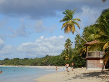 Voyage de rêve en Martinique - didine2269