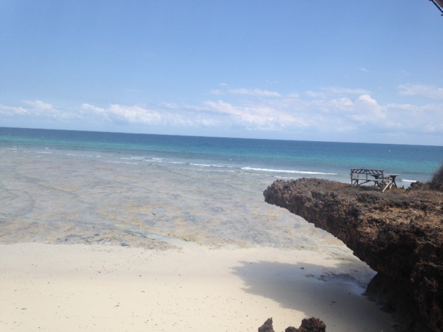 Retour de 2 semaines Zanzibar / Pemba - Angèle1