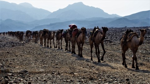 Lac Assal, rencontre avec le peuple Afar! - Rencontres et Voyagite