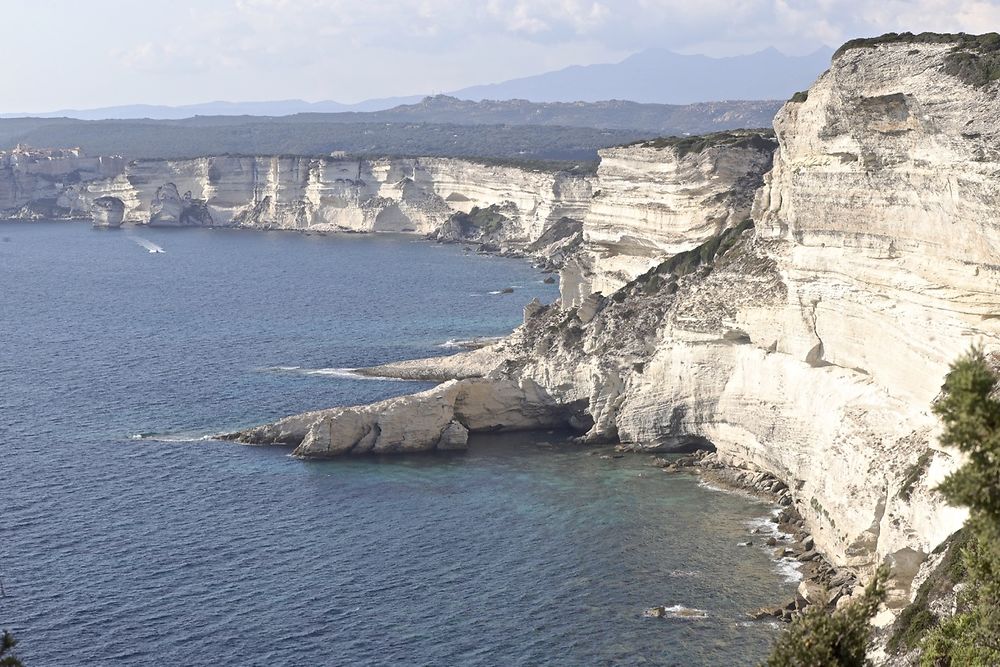 Re: Un peu d'évasion vers le sud en Corse... - puma