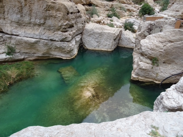 De retour de 12 jours de rêve à Oman - kaorimaki