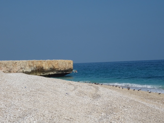 De retour de 12 jours de rêve à Oman - kaorimaki