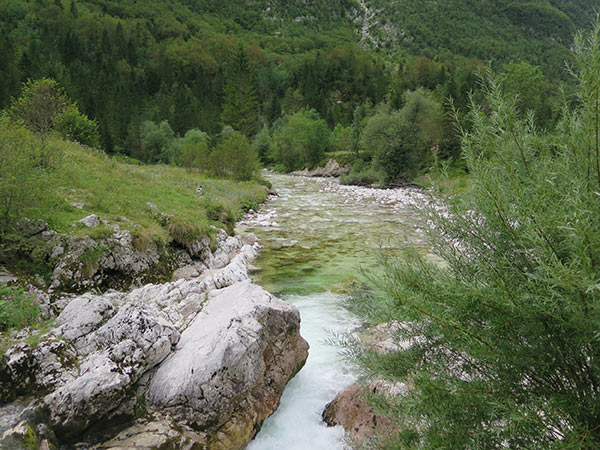 Slovénie août 2016 en fourgon aménagé et un chien - célimari