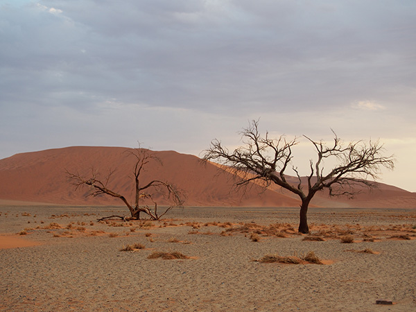 Retour de 3 semaines Chutes Victoria-Botswana-Namibie - drcarter