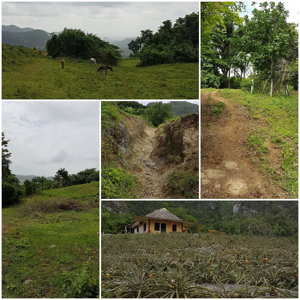 Une balade moins touristique à Viñales: Los Acuáticos et la Sierra del Infierno. - zapata33