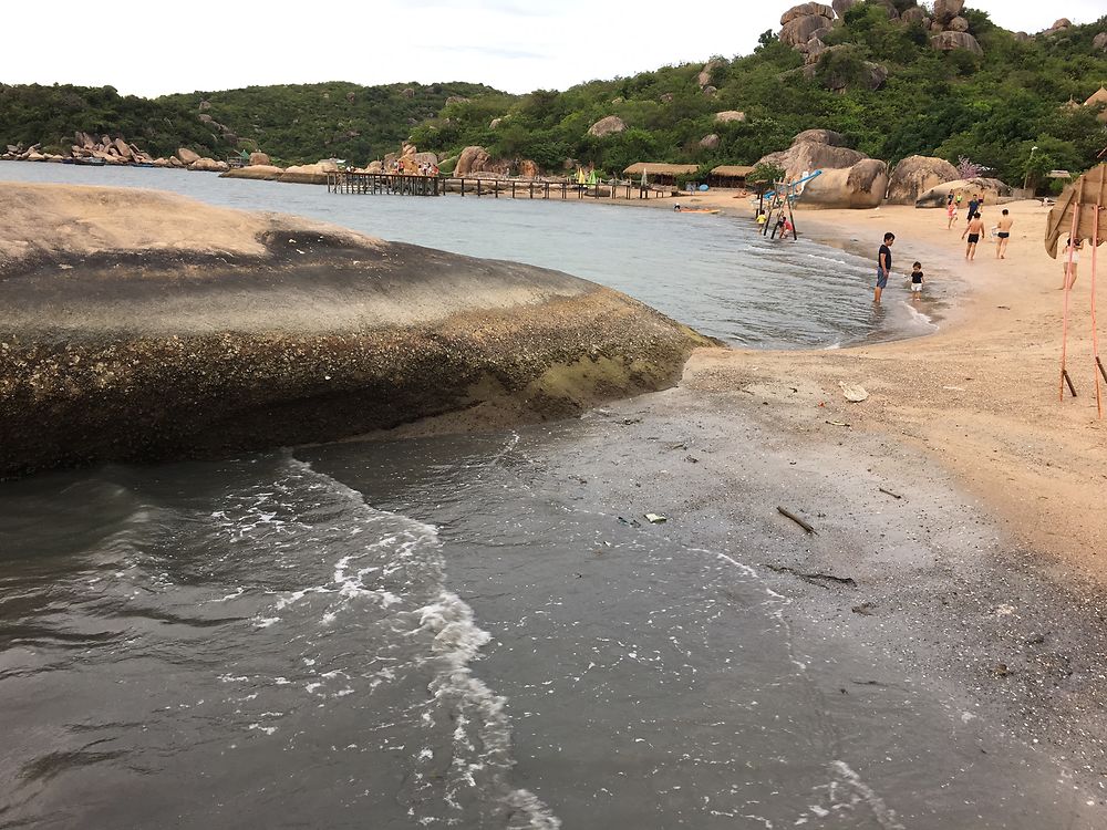 Re: Un plongeur de VinaDiving amène consciemment un client à détruire du corail vivant - Abalone_vn