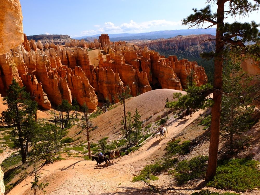 Balade à Cheval dans Bryce Canyon - rafa