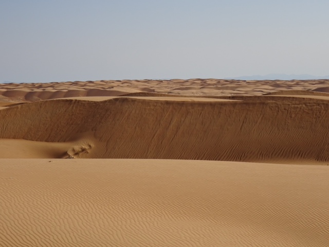 De retour de 12 jours de rêve à Oman - kaorimaki