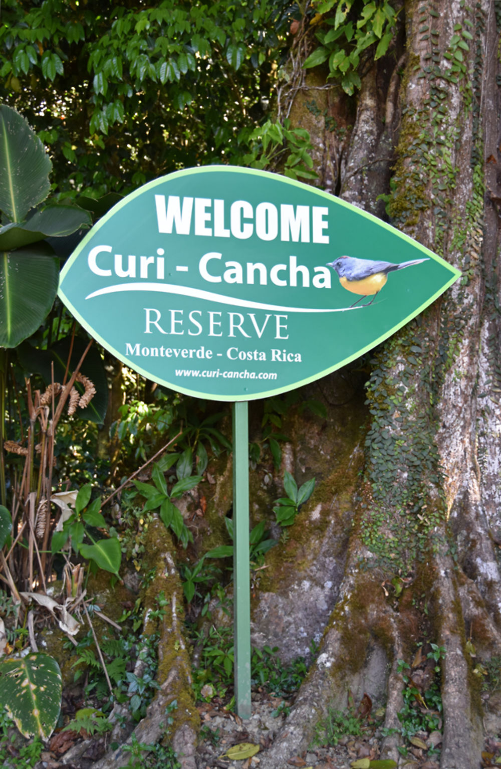 Re: Costa Rica : 2 semaines au pays de la Pura Vida ! - sebnella