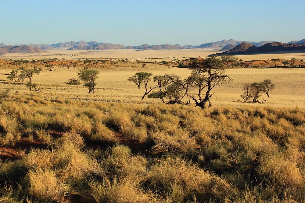 Re: Matériel pour partir en Namibie - puma