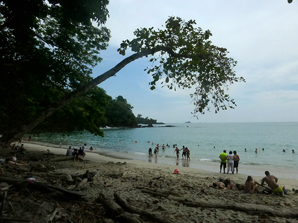 plage du Parc de Manuel Antonio - Agadine