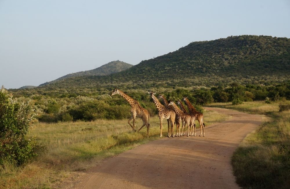 travel forum kenya