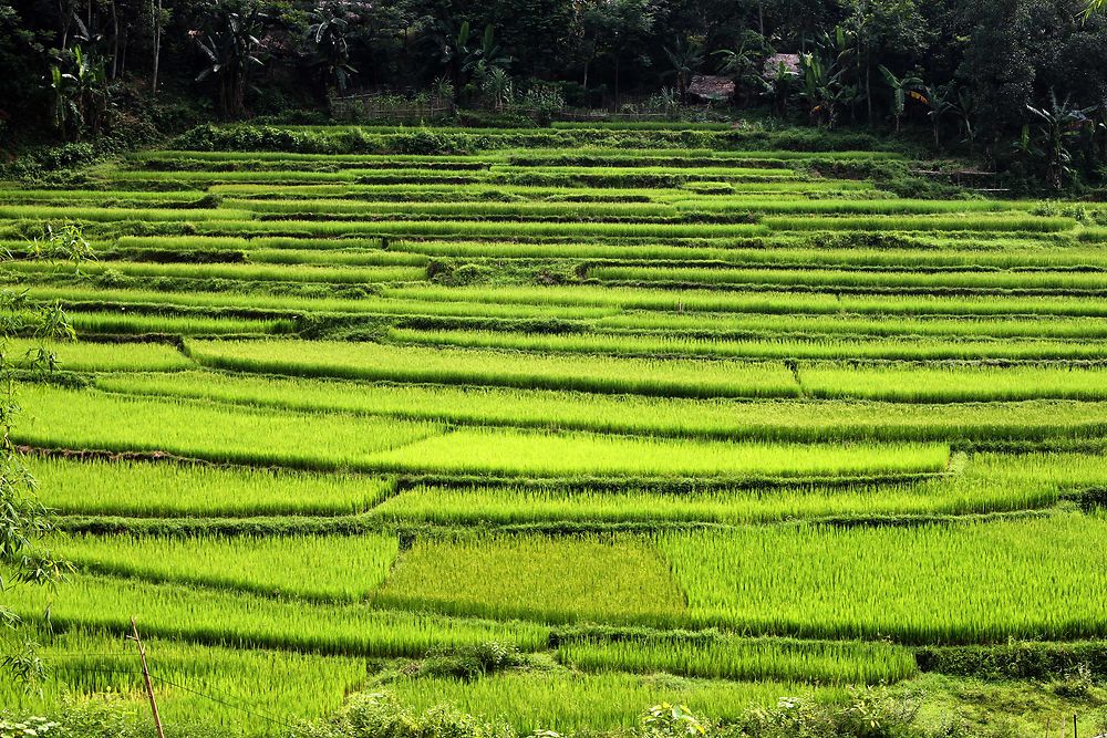 Re: Itinéraire nord Vietnam - Abalone_vn