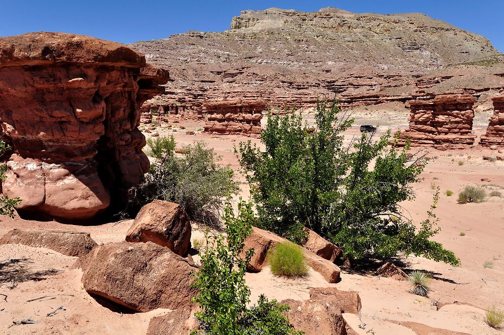 Recapture Pocket, parc de Hovenweep et ruines de Tower House - chellmi