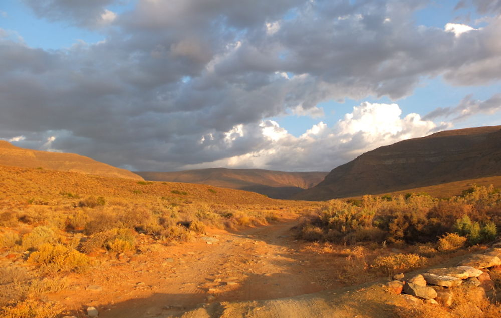 Tankwa Karoo National Park : une merveille encore préservée - Meli Green Seed