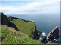 Standing just outside of the boundary wall of the lighthouse compound at St.Abbs looking up the coast. In the left distance can be seen (faintly) the distinctive landmarks of North Berwick Law and the Bass Rock.