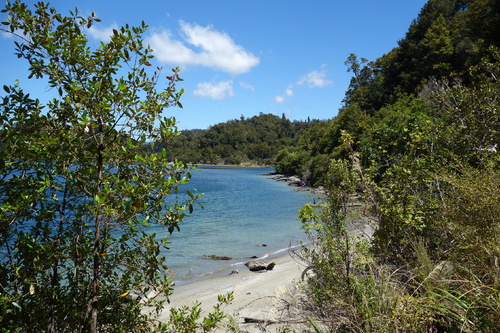 randonnée autour du lac waikaremoana