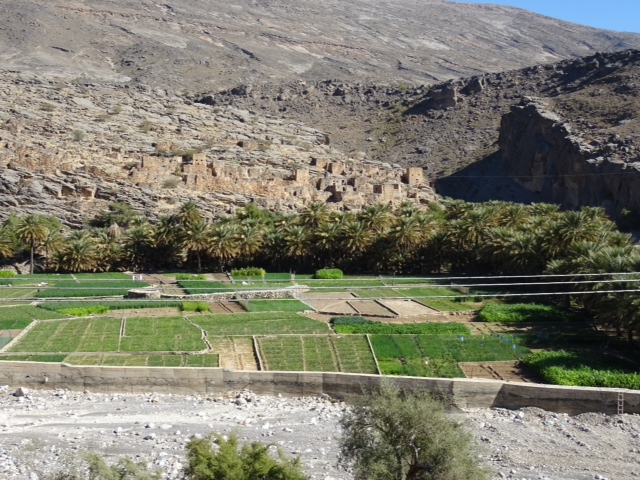 De retour de 12 jours de rêve à Oman - kaorimaki