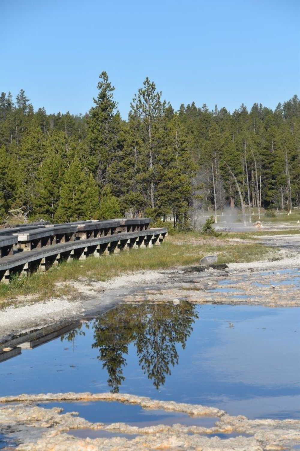 Re: Deux nouveaux coups de foudre : la star Yellowstone et le discret Valley of fire - katia1372