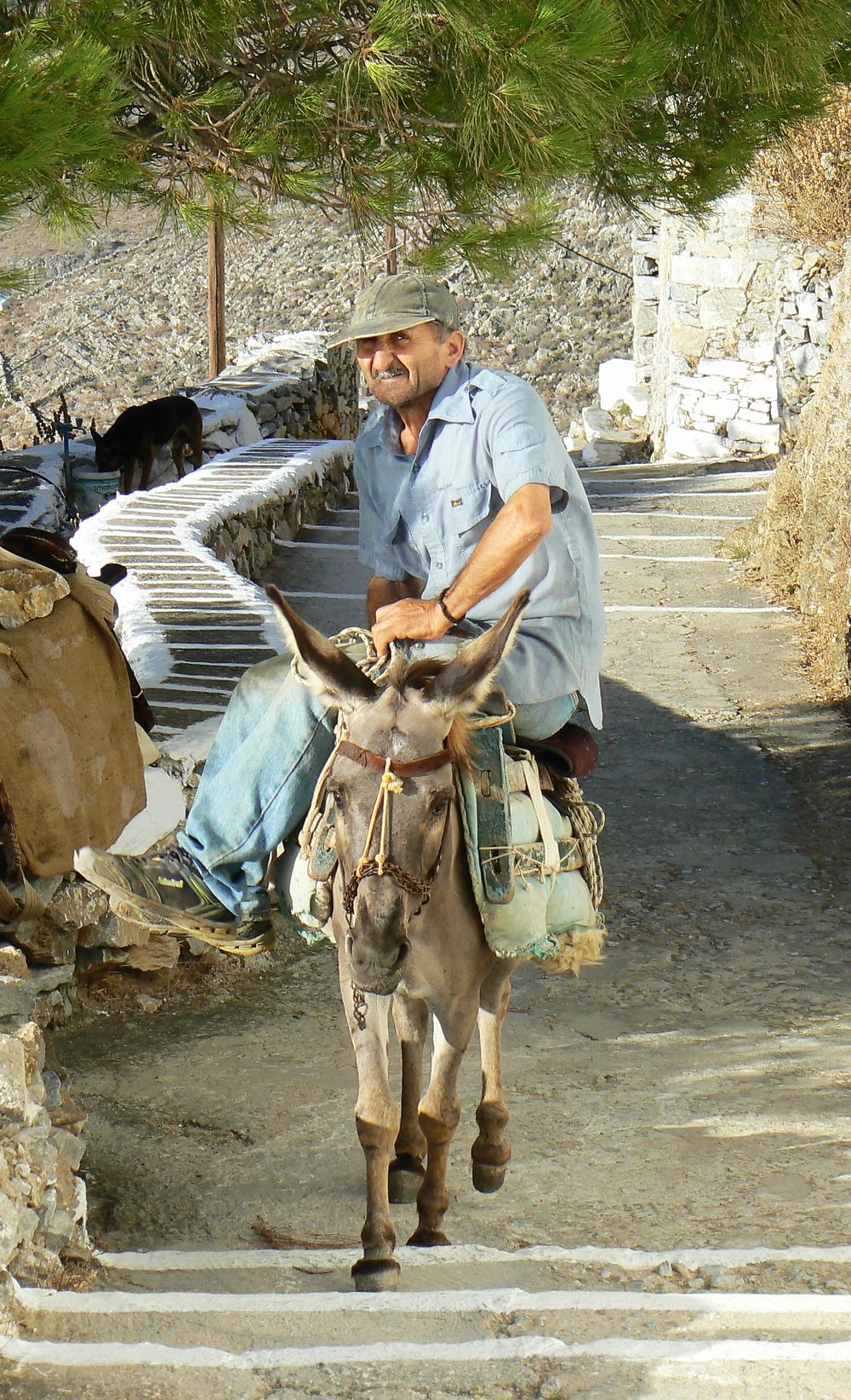 Re: Amorgos la Grande Bleue - Patrice.Bout