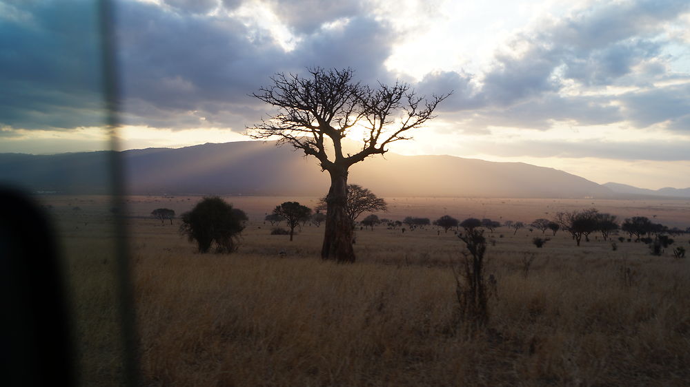 Re: Waltz Tours Safaris au Kenya - PsY-Martinez