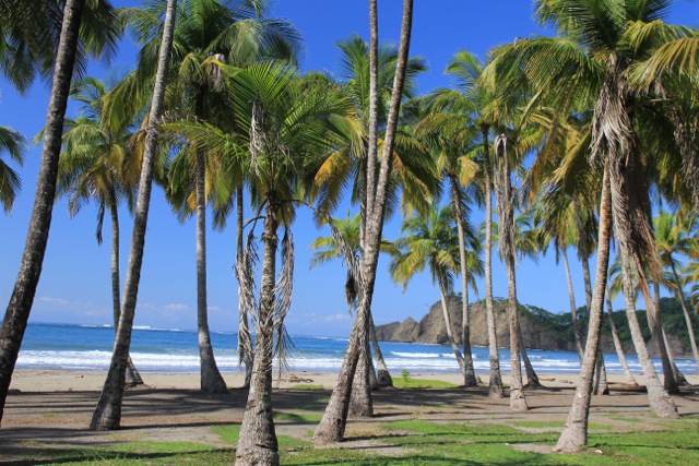 Compte-rendu d'un road trip de 12 jours au Costa Rica - Kaliso