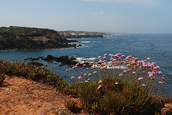 Retour Rota Vicentina au Portugal - arwen0104