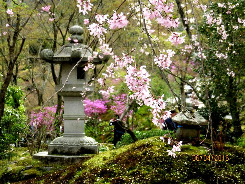 Re: Compte rendu 2 semaines à 4 au Japon, avril 2016 - quinqua voyageuse