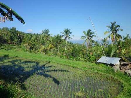 De retour de Java et Bali - compte rendu - ja_chris De retour de Java et Bali - compte rendu - ja_chris