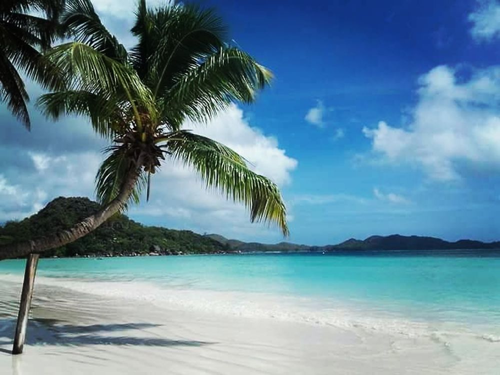 Seychelles : découverte des 3 îles principales  - Voyager-eco