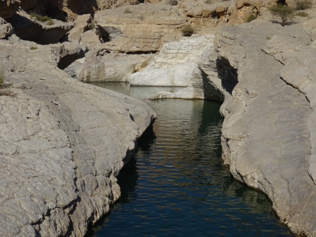 De retour de 12 jours de rêve à Oman - kaorimaki