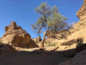 Namibie : exploration de la réserve Namibrand - Nicolas-Locque