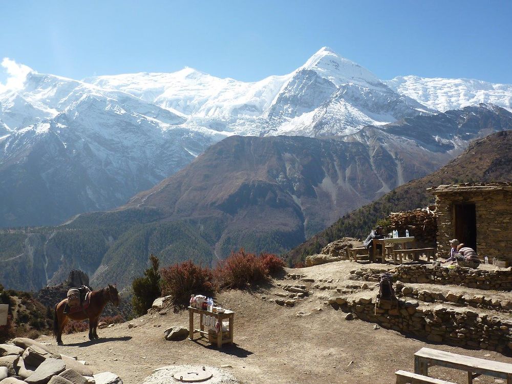 Tour des Annapurnas avec une agence Népalaise au sommet. - KRAFLAT