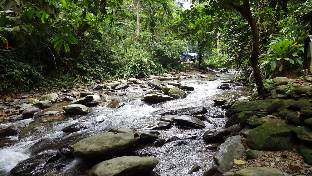 retour trekking Bukit Lawang - chgut