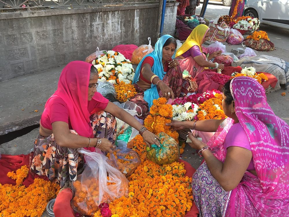 RAJA INDIA TOUR - Francoise-Decourt