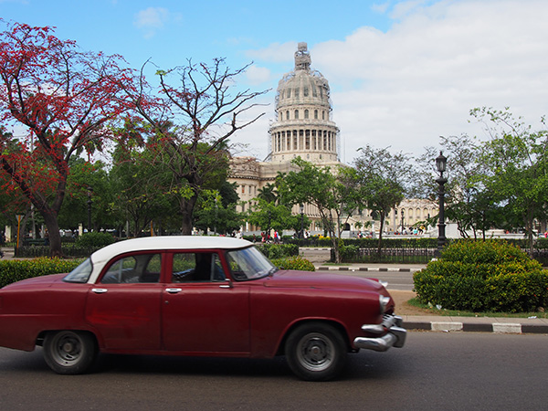 Retour de 15 jours à Cuba: est-il déjà trop tard? - drcarter