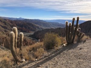 Bolivie : 4 jours dans le sud de Lipez en passant par Tupiza - Nicolas-Locque