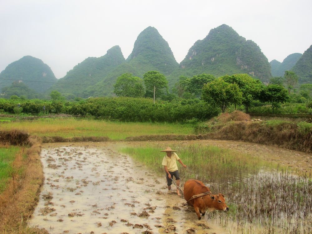 3 semaines au pays du soleil levant. Beijing, la grande muraille sur ses portions de Mutianyu et de Simatai, L’ascension du mont Hua Shan, les cultures en terrasse de Longji, la rivière Li, Hong-Kong, Macao, Shanghai - lebalouder 3 semaines au pays du soleil levant. Beijing, la grande muraille sur ses portions de Mutianyu et de Simatai, L’ascension du mont Hua Shan, les cultures en terrasse de Longji, la rivière Li, Hong-Kong, Macao, Shanghai - lebalouder