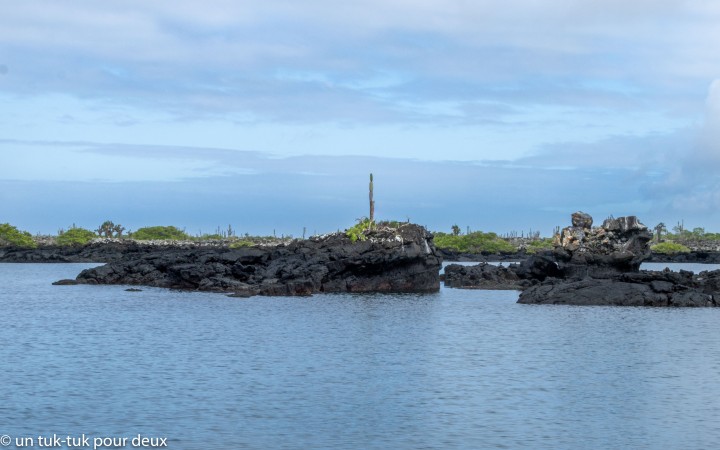 12 jours aux Îles Galápagos en autonomie, c'est vraiment merveilleux! - un-tuk-tuk-pour-deux