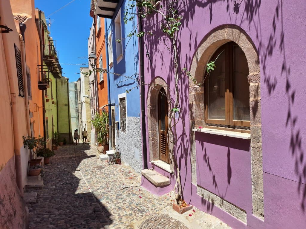 Bosa
