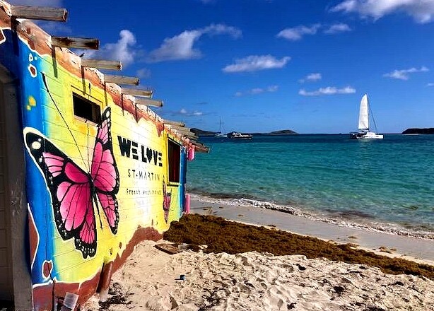 0 Sxm Bo fresque Bo