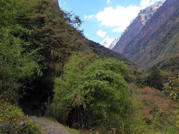 Vers le camp de base de l'Annapurna ! - fab_lio