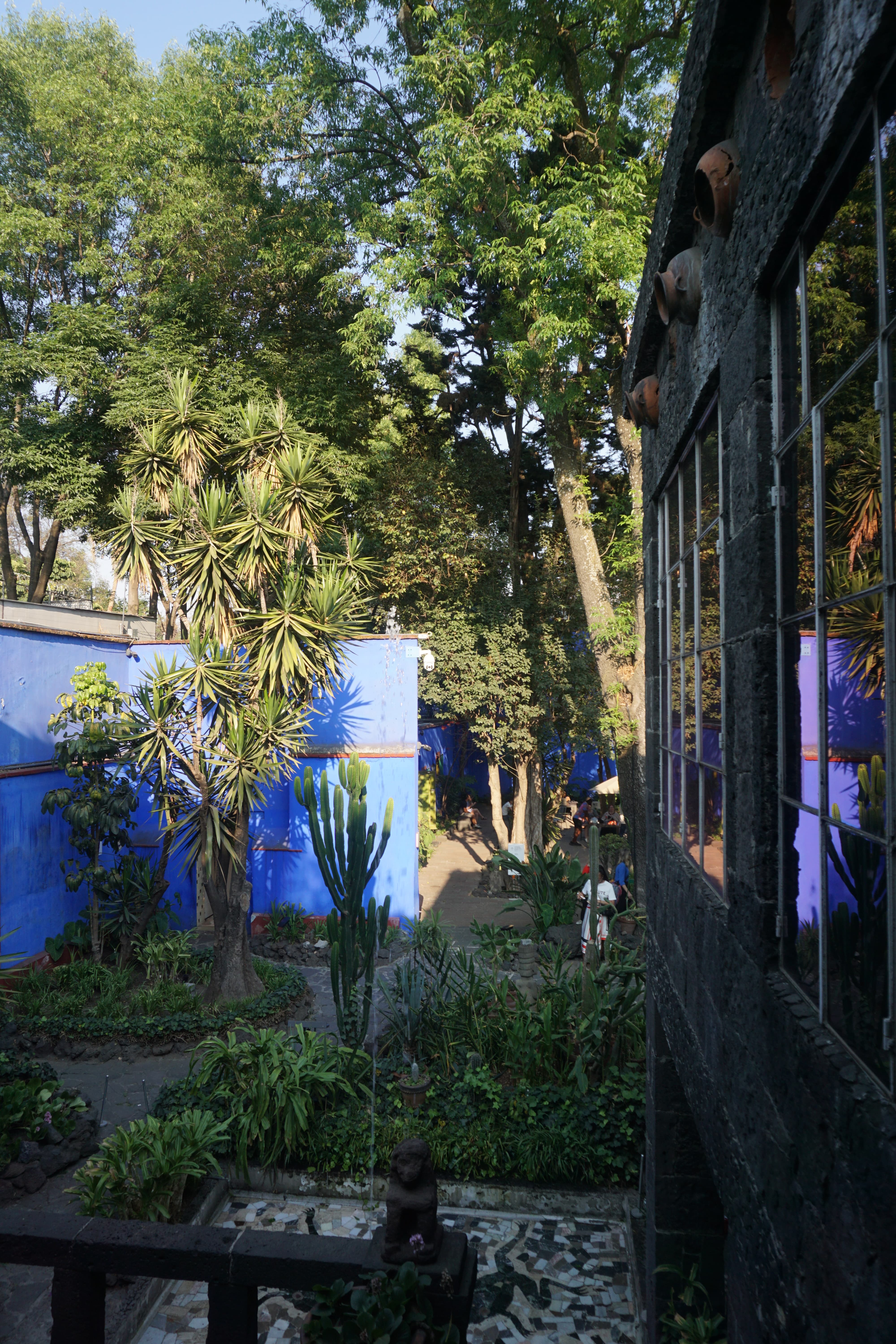 DSC03646