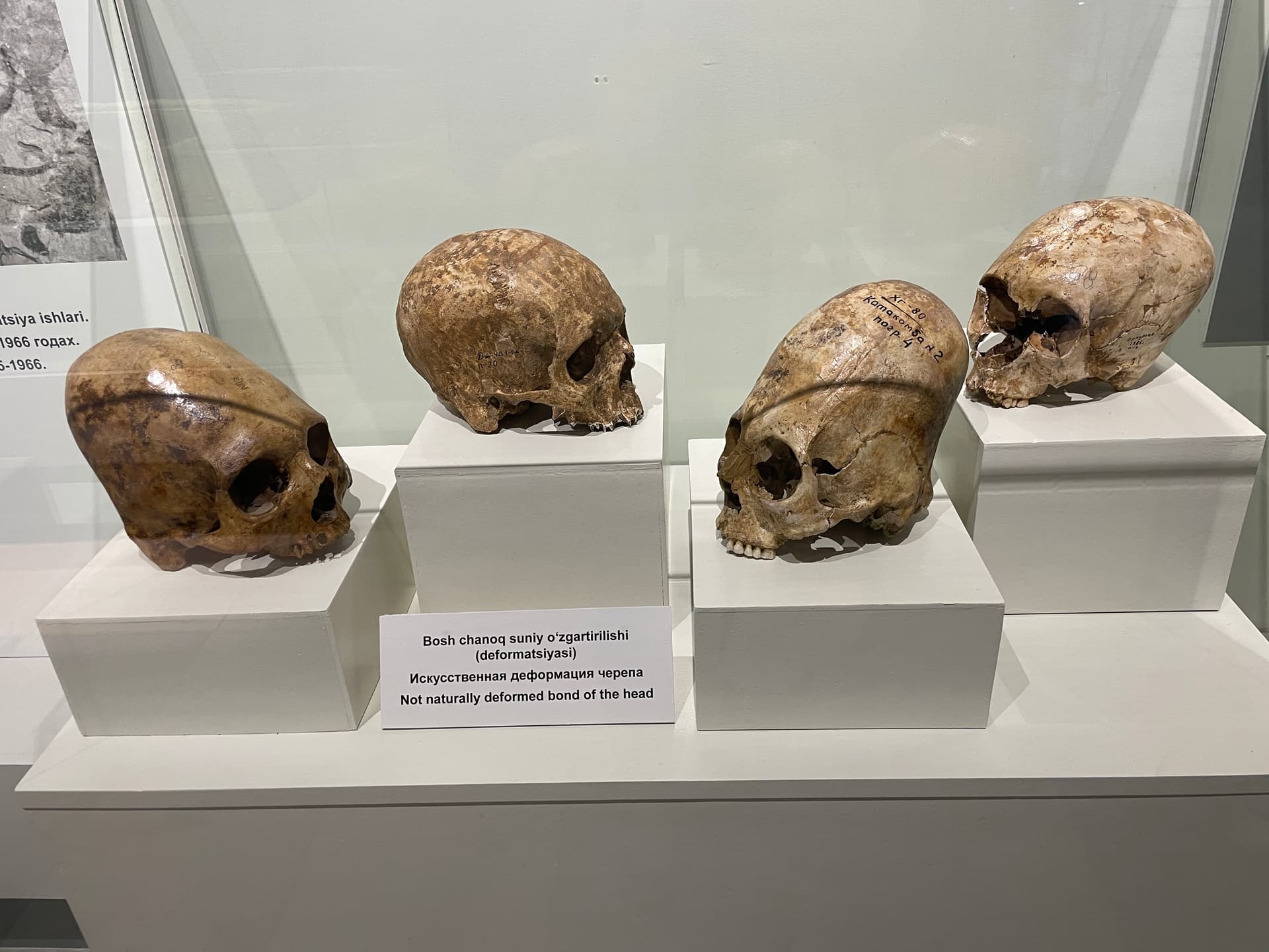 Musée d'histoire d'Afrosyab