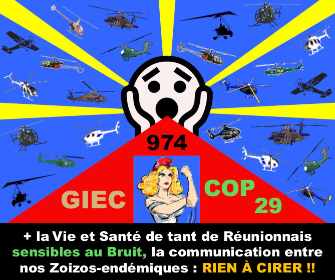 Drapeau-974-cop29-sante-des-reunionnais-rien-a-cirer