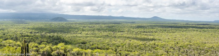 12 jours aux Îles Galápagos en autonomie, c'est vraiment merveilleux! - un-tuk-tuk-pour-deux