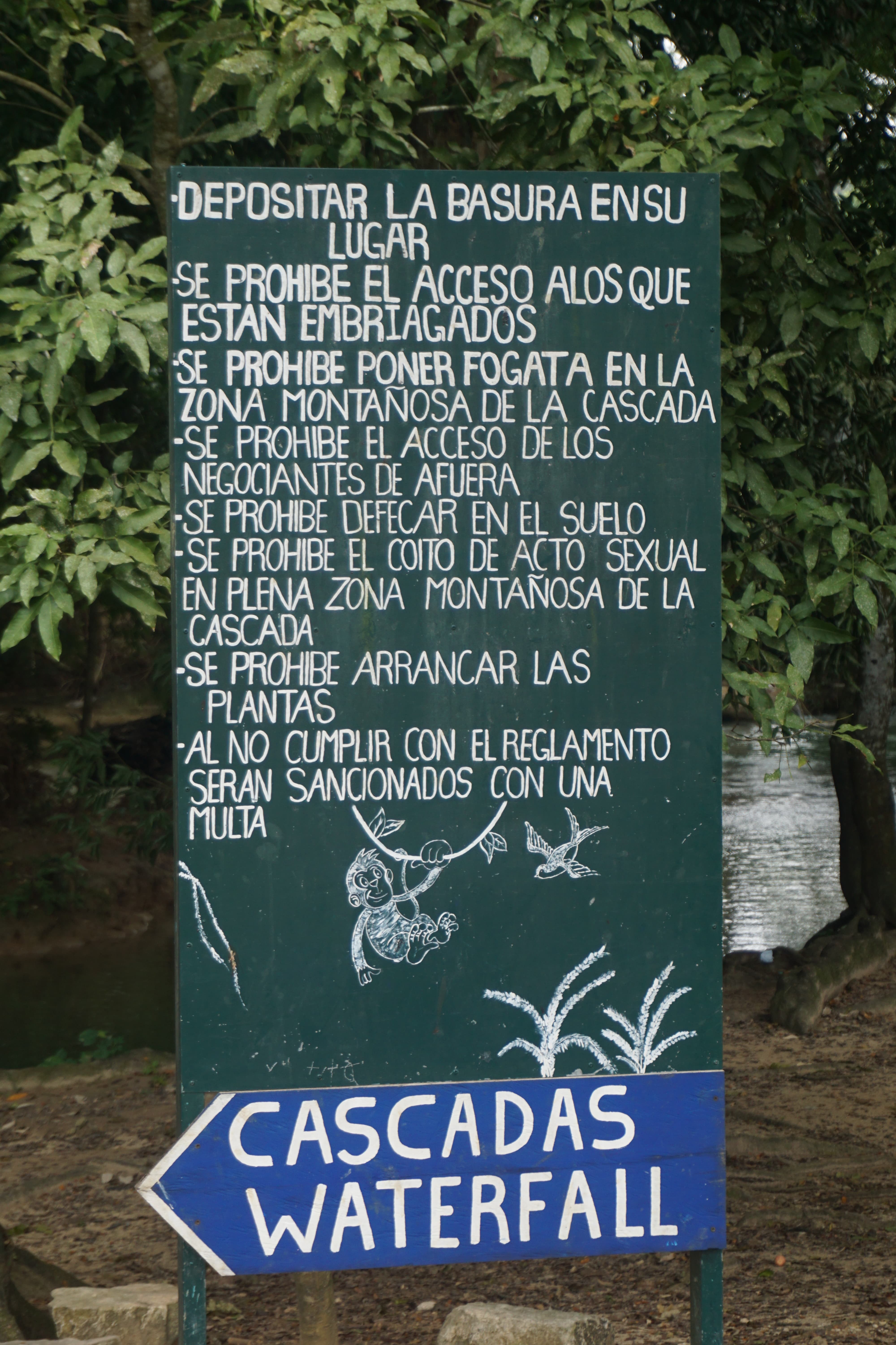 DSC03467