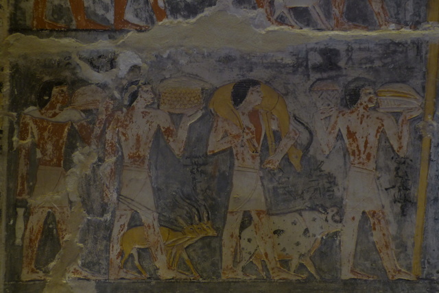 Egypte novembre 2025 : retour sur mon voyage P1670312