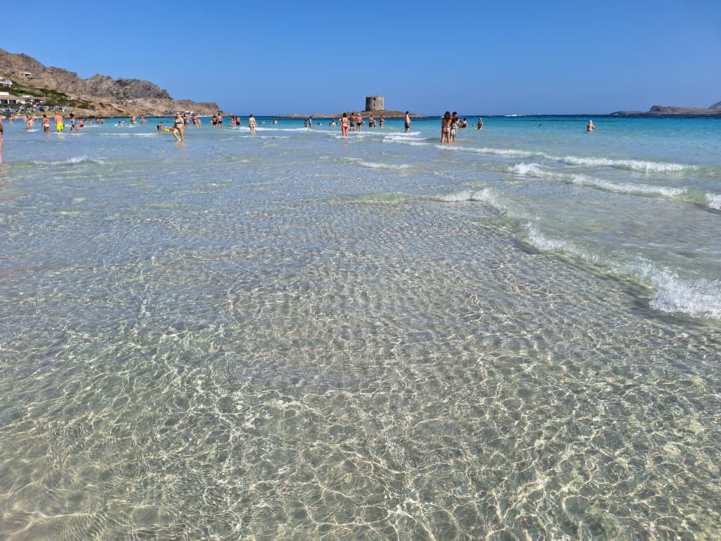 La Pelosa