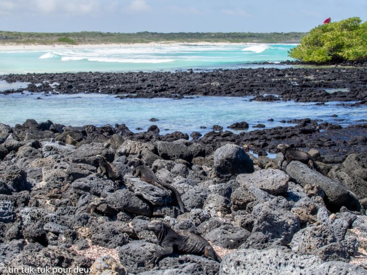 12 jours aux Îles Galápagos en autonomie, c'est vraiment merveilleux! - un-tuk-tuk-pour-deux